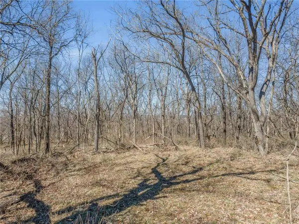 124.56 Acres Garner RD, Richmond, MO 64085