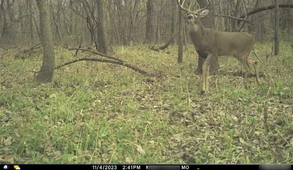 B HWY, Ridgeway, MO 64481