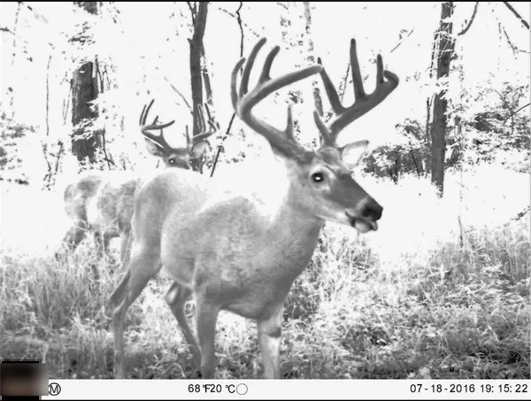 B HWY, Ridgeway, MO 64481