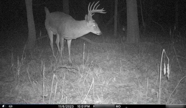 B HWY, Ridgeway, MO 64481