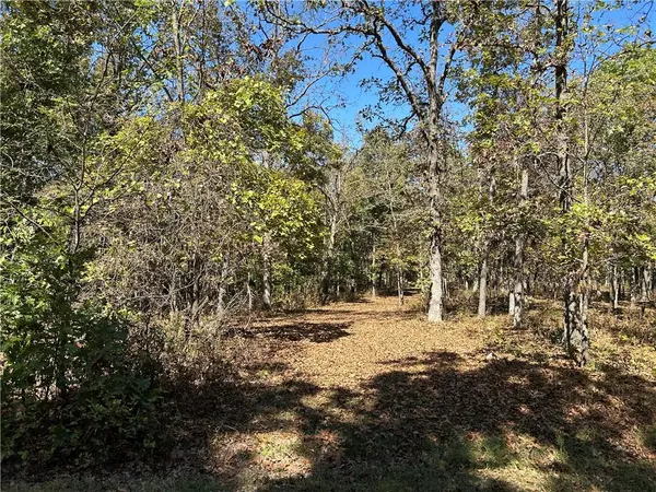 Off Kip DR, Edwards, MO 65326