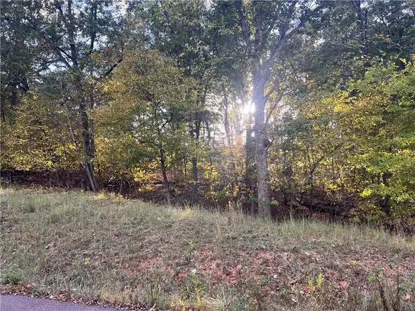 8, 9, 12 &SW 1/4 Red Hollow RD, Gravois Mills, MO 65037