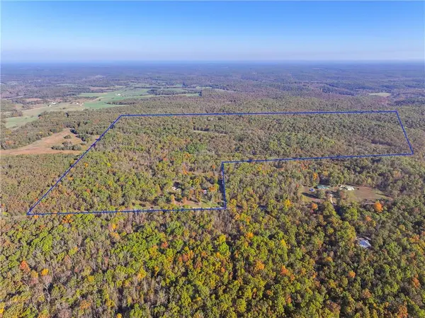 33981 County Road 96 HWY, Cross Timbers, MO 65634