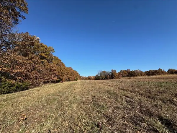 TBD Sate Highway 13 HWY, Pattonsburg, MO 64670