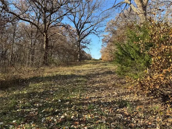 TBD Sate Highway 13 HWY, Pattonsburg, MO 64670