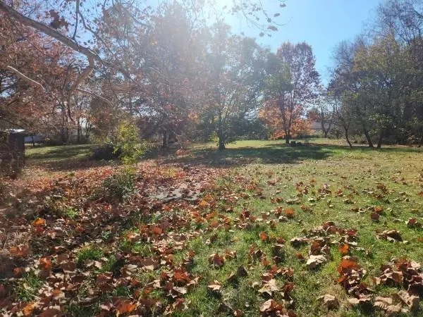 710 W Mason ST, Odessa, MO 64076