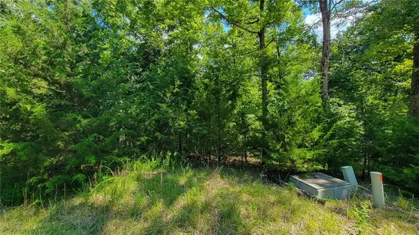 Lot #866 Grand Cypress CT, Sunrise Beach, MO 65079