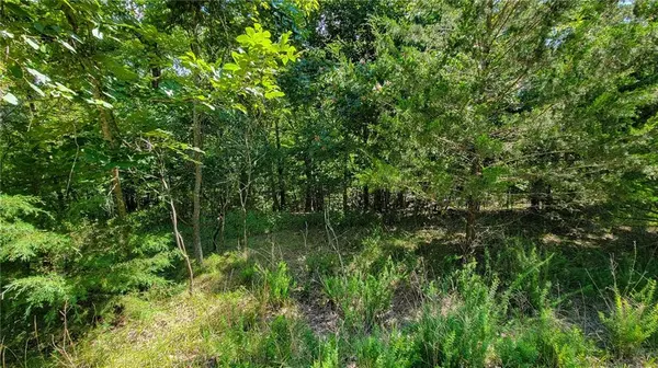 Lot #866 Grand Cypress CT, Sunrise Beach, MO 65079