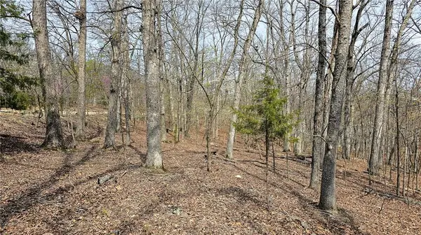 Lot #362 Lake DR, Sunrise Beach, MO 65079