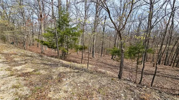 Lot #362 Lake DR, Sunrise Beach, MO 65079