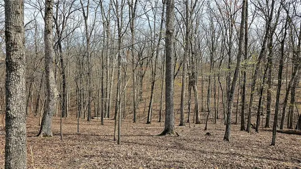Lot #362 Lake DR, Sunrise Beach, MO 65079