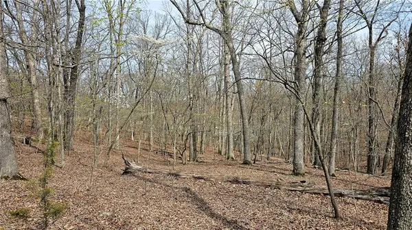 Lot #362 Lake DR, Sunrise Beach, MO 65079