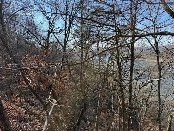 Chimney Rock RD, Camdenton, MO 65020