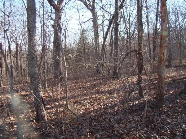 Gore/Keevon RD, Lincoln, MO 65338