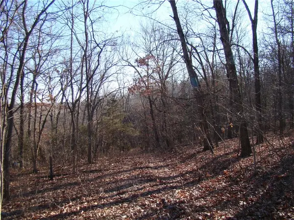 Gore/Keevon RD, Lincoln, MO 65338