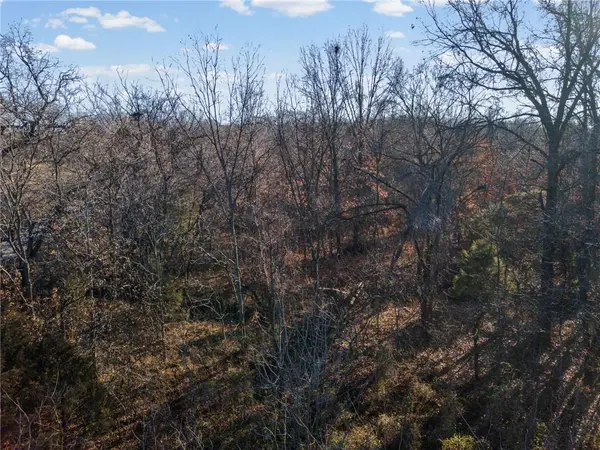 SW Lot E Pine ST, Butler, MO 64730