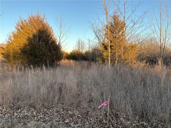 34 & 38 Louisiana DR, Linn Valley, KS 66040