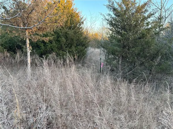 34 & 38 Louisiana DR, Linn Valley, KS 66040