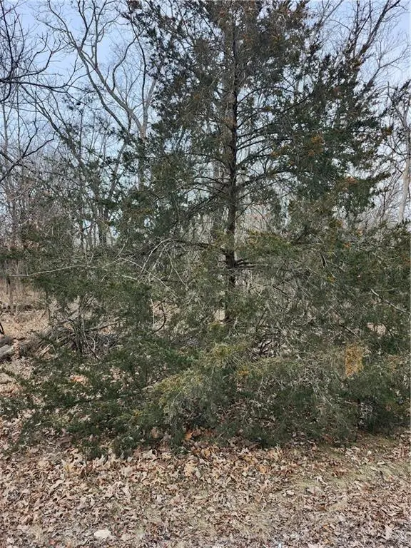 13 Silver LN, Linn Valley, KS 66040