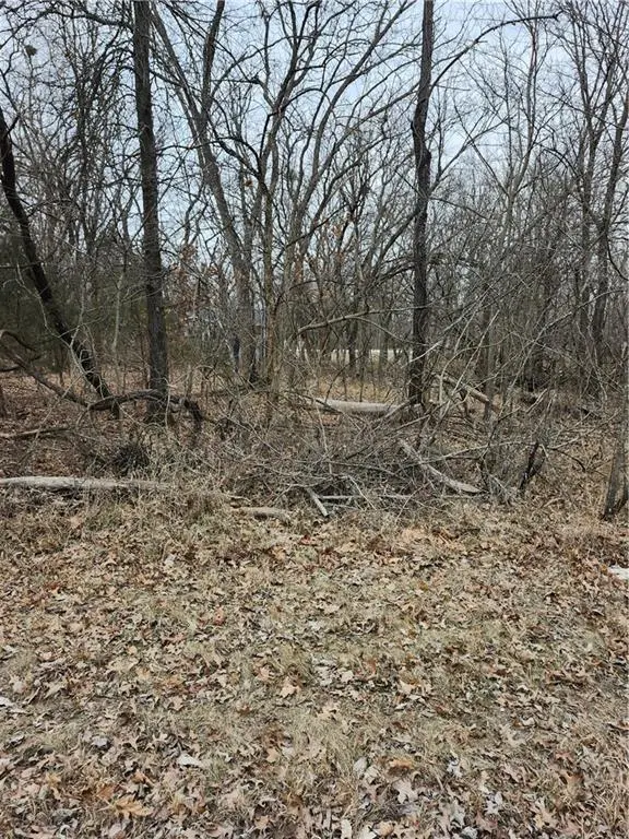 13 Silver LN, Linn Valley, KS 66040