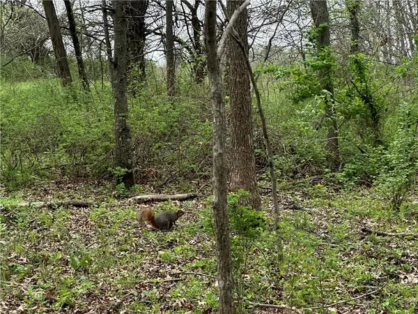 NW 870 RD, Blairstown, MO 64726