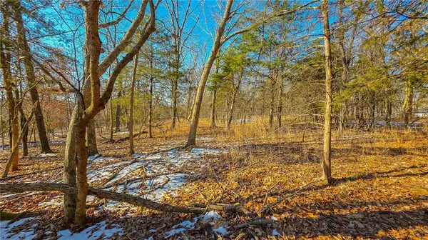 Lot #1356 Champion DR, Sunrise Beach, MO 65079