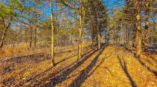 Lot #1356 Champion DR, Sunrise Beach, MO 65079