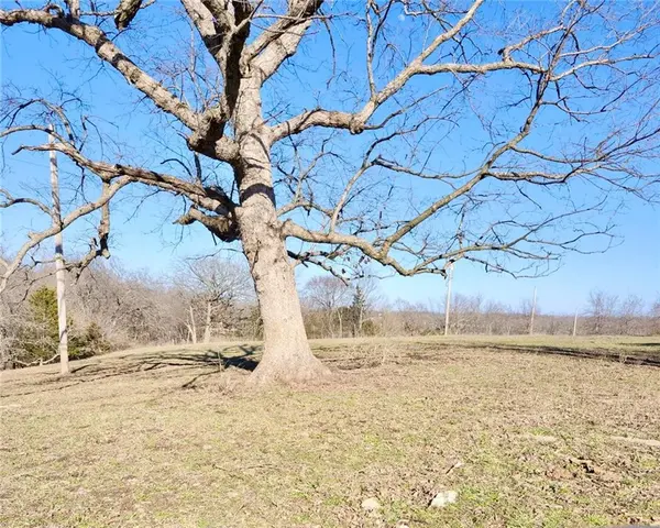 1001 S Van Dyke RD, Buckner, MO 64016