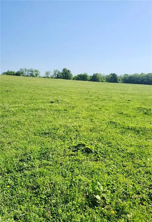 1125 S Van Dyke RD, Buckner, MO 64016