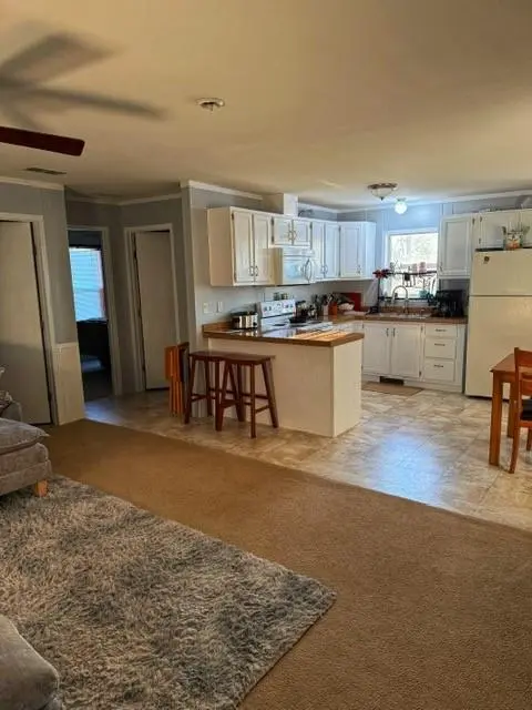 131 Mobile LN, Big Lake, MO 64437