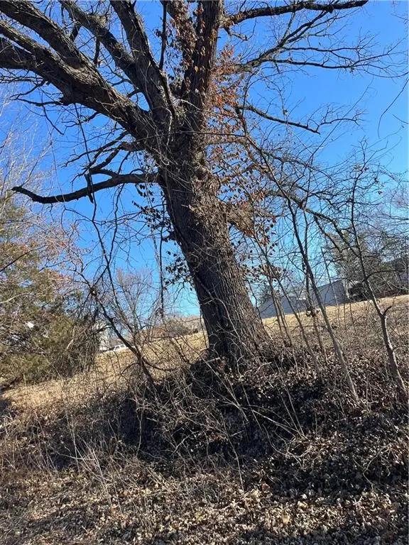 0000 Gold ST, Paola, KS 66071