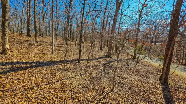 Lot #450 Grand View DR, Sunrise Beach, MO 65079