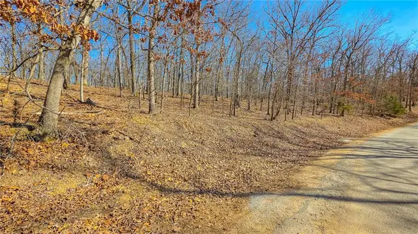 Lot #450 Grand View DR, Sunrise Beach, MO 65079
