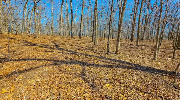 Lot #450 Grand View DR, Sunrise Beach, MO 65079