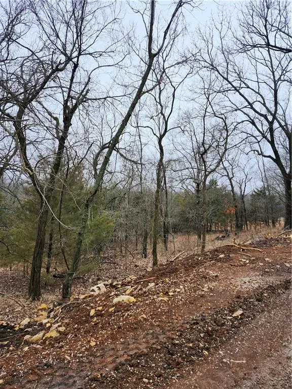 6 & 10 Live Oak DR, Linn Valley, KS 66040