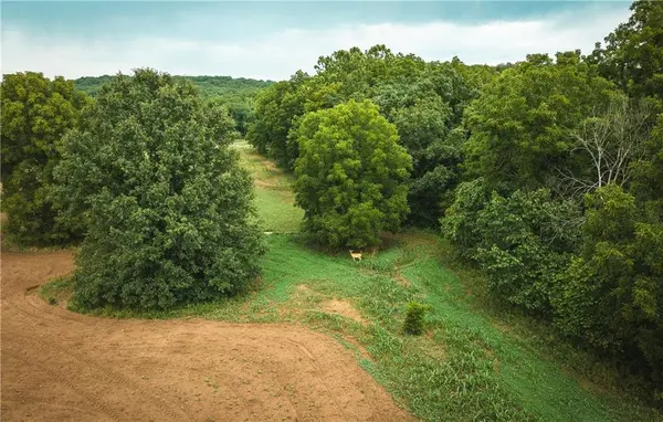 0 Knobby Creek LN, Edwards, MO 65326