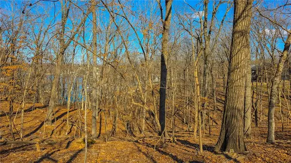 Lot #322 Oak DR, Sunrise Beach, MO 65079