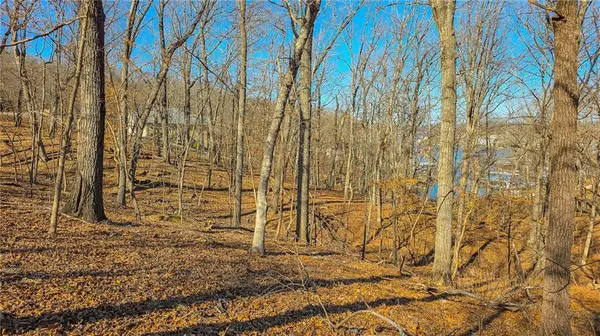 Lot #322 Oak DR, Sunrise Beach, MO 65079