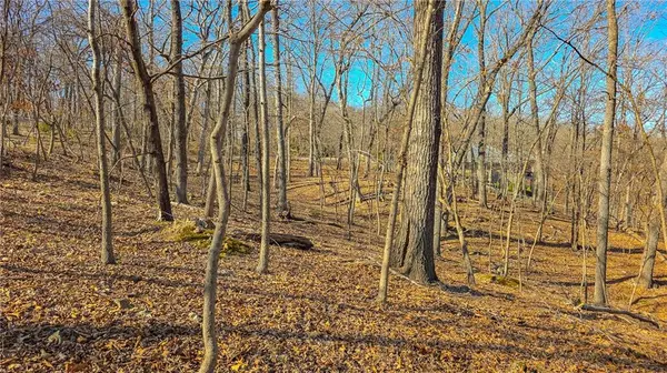 Lot #322 Oak DR, Sunrise Beach, MO 65079