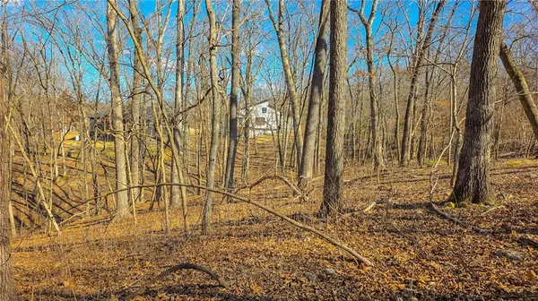 Lot #322 Oak DR, Sunrise Beach, MO 65079