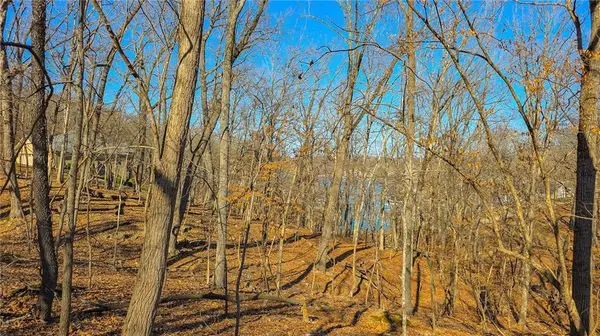 Lot #322 Oak DR, Sunrise Beach, MO 65079