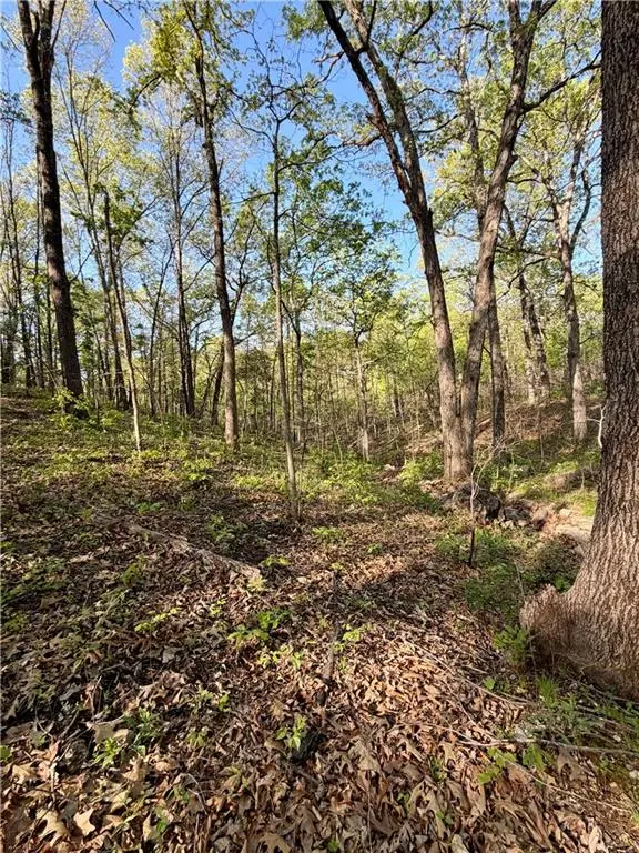 Cliff House DR, Edwards, MO 65326