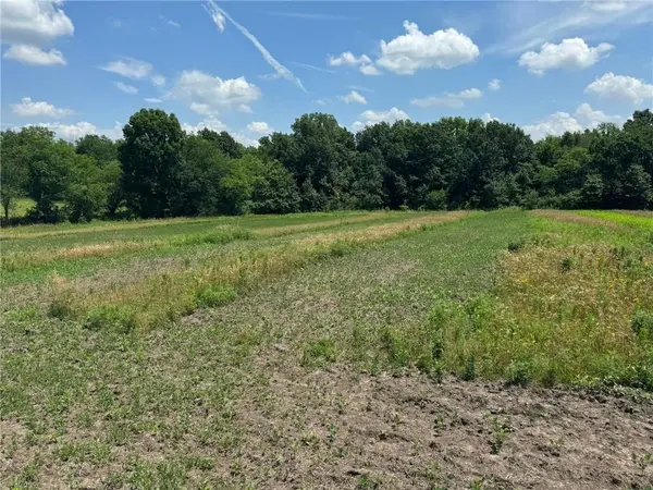 CR 151 RD, Norborne, MO 64668
