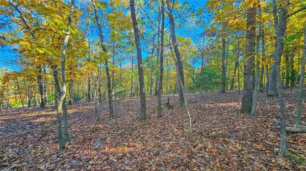 Lot #785 Muirfield DR, Sunrise Beach, MO 65079