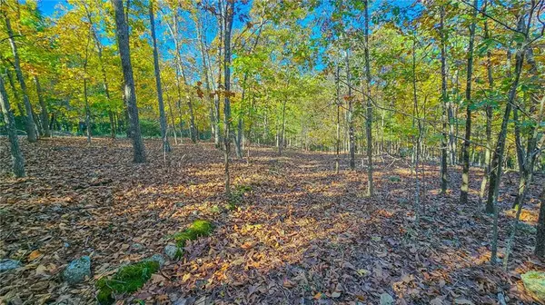 Lot #785 Muirfield DR, Sunrise Beach, MO 65079