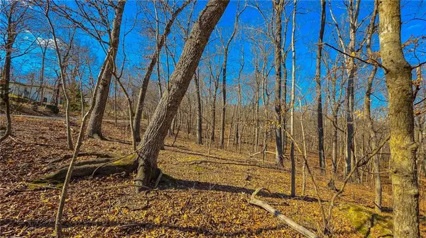 Lot #323 Oak DR, Sunrise Beach, MO 65079