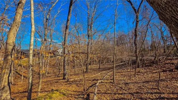 Lot #323 Oak DR, Sunrise Beach, MO 65079