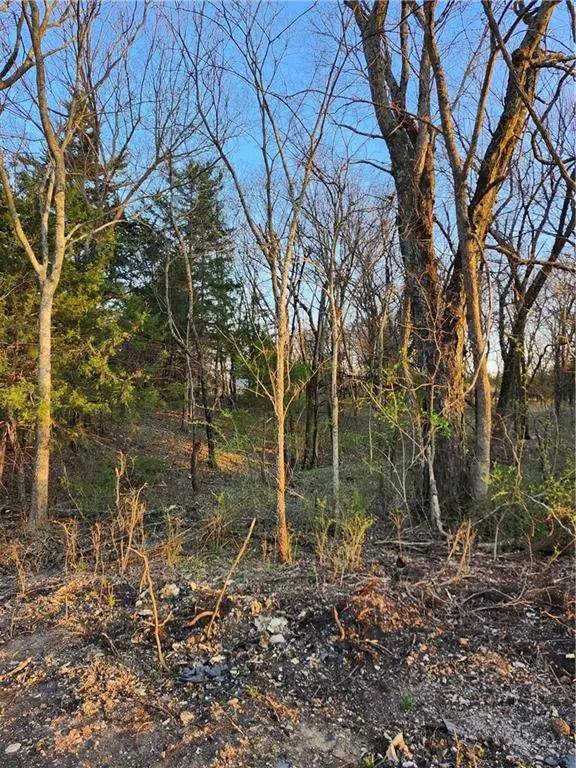 62 S Linn Valley DR, Linn Valley, KS 66040