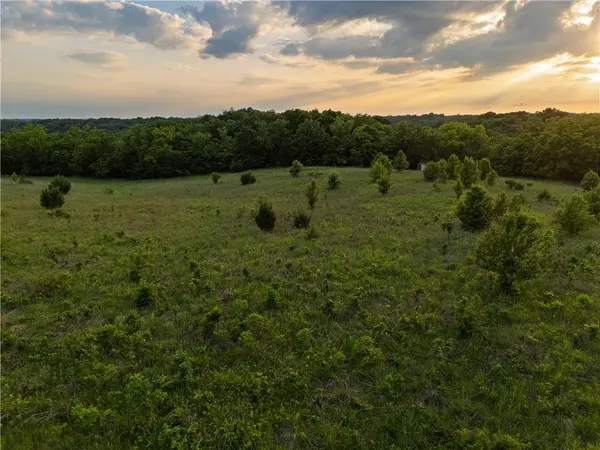 TBD Rattlesnake RD, Cowgill, MO 64637
