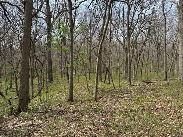 tbd NW 900* RD, Warrensburg, MO 64093